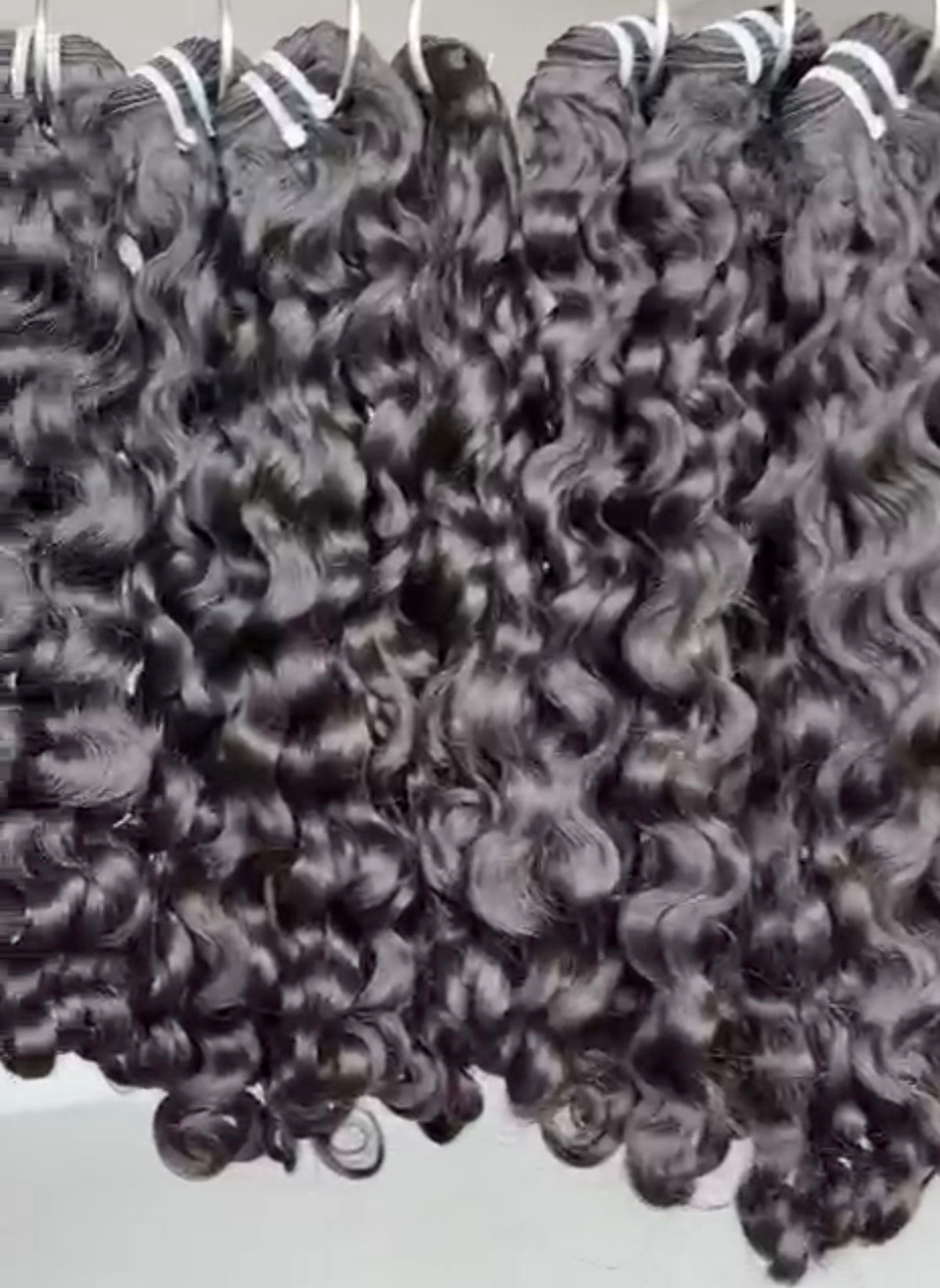 Burmese Curly